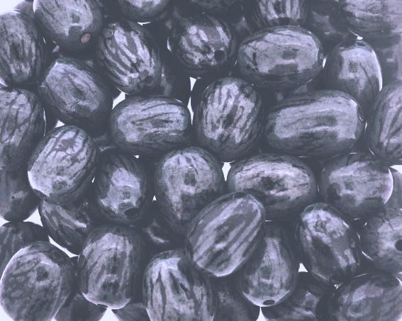 Paxiubinha colorida azul marinho - Embalagem 50 sementes